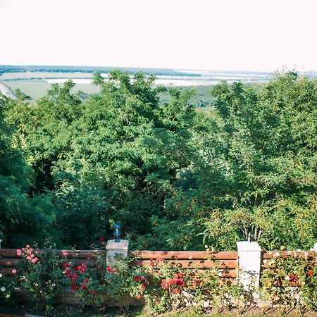 Curtea Boierului Hotel Peresecina Buitenkant foto