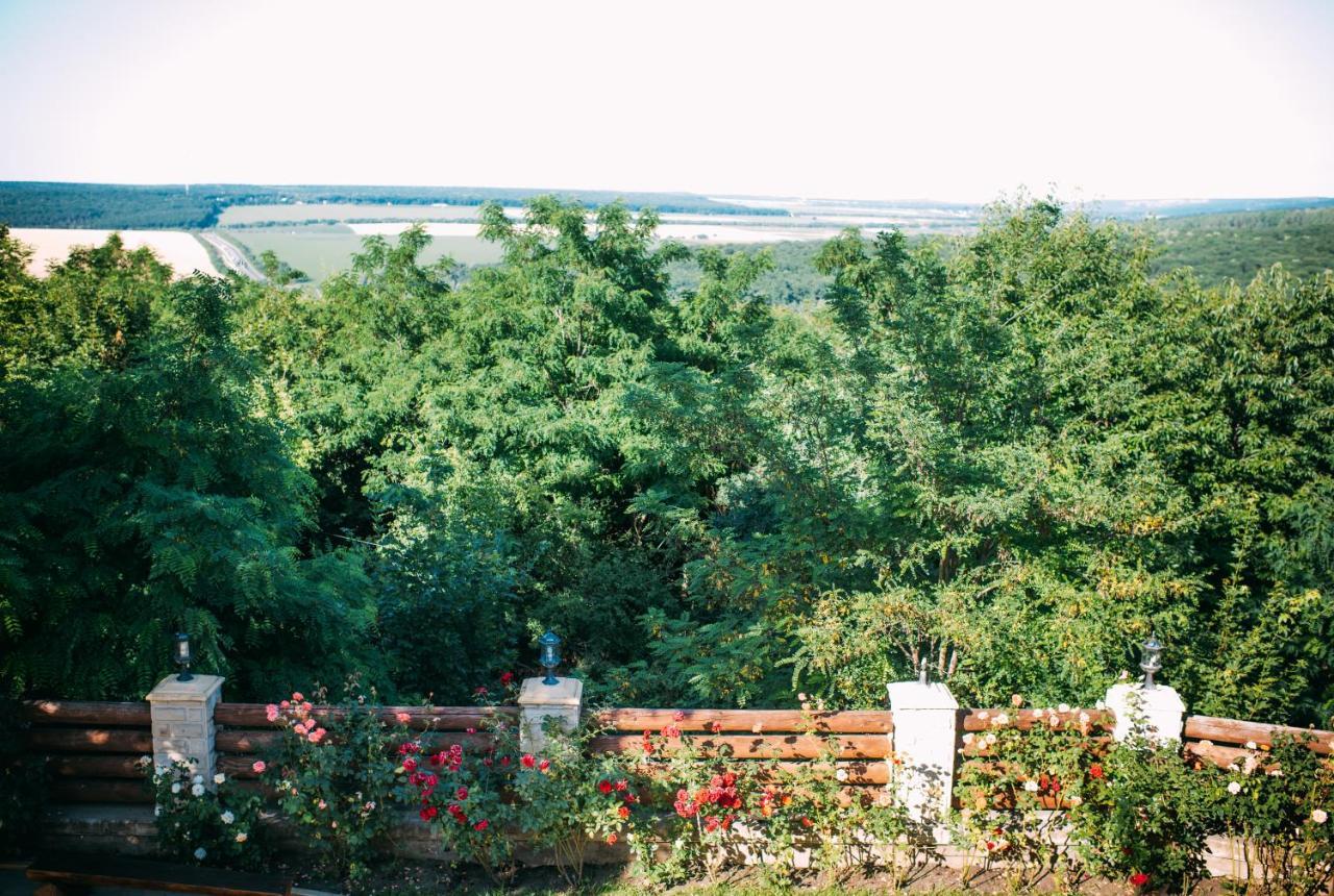 Curtea Boierului Hotel Peresecina Buitenkant foto